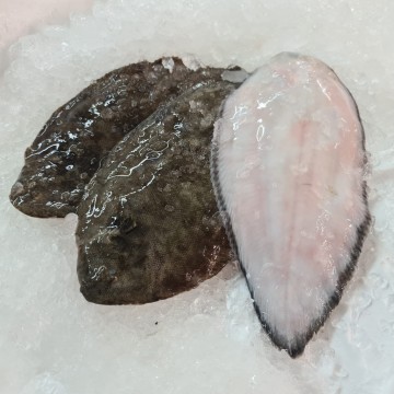 RARE DEALS! Small Sole Fish 小龍脷鱼 (Refer Description)