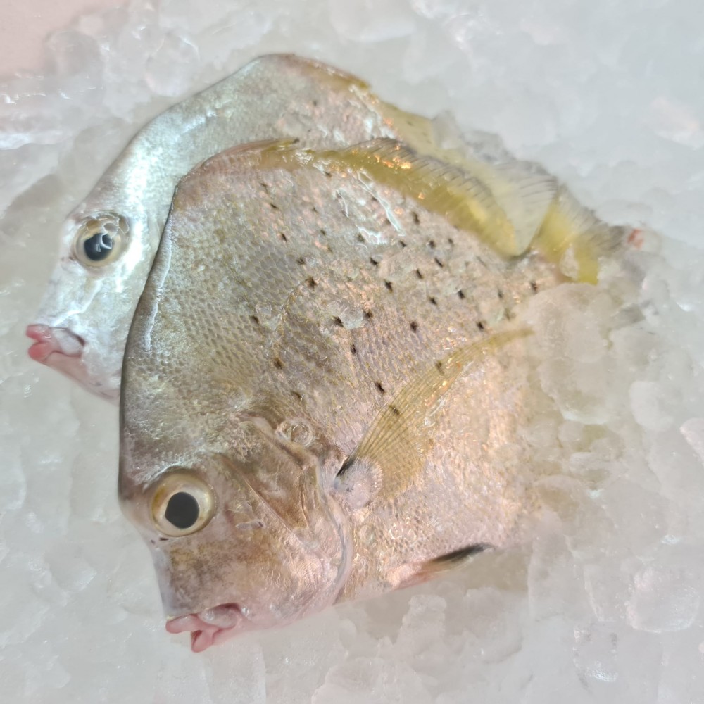Seafood
