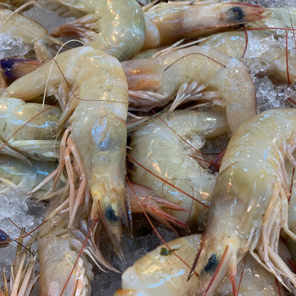 Crustaceans