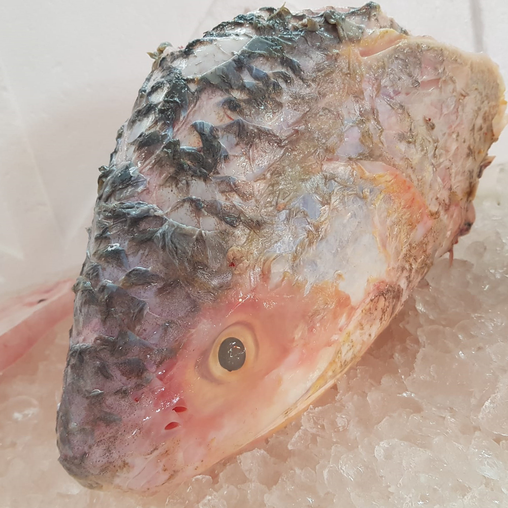 Seafood