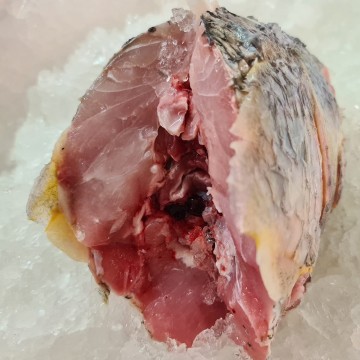 RARE DEALS! Huge Threadfin Fish Head 午鱼头 (2.8kg - 3kg / half a head 半个头) RARE DEALS! Huge Threadfin Fish Head 午鱼头 (2.8kg - 3kg / half a head 半个头)