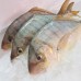 Seafood