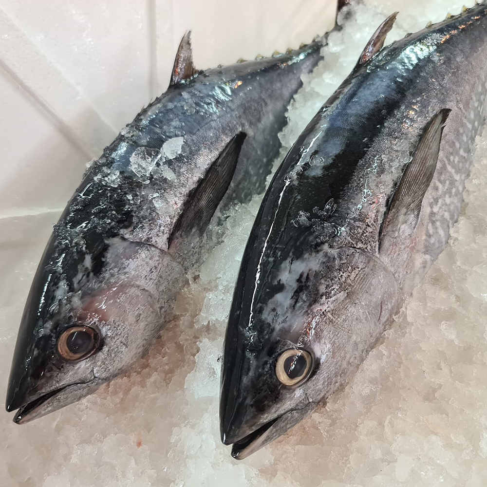Seafood