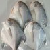 Frozen Seafood
