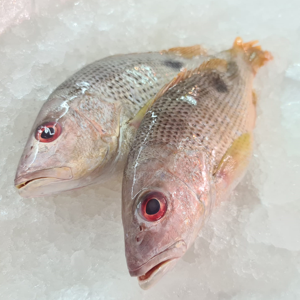 Fresh Seafood