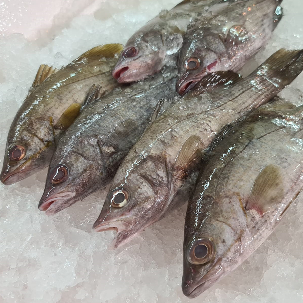Seafood