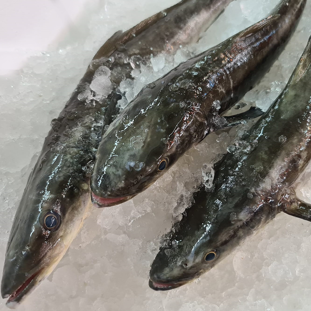 Fresh Seafood