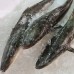 Fresh Seafood