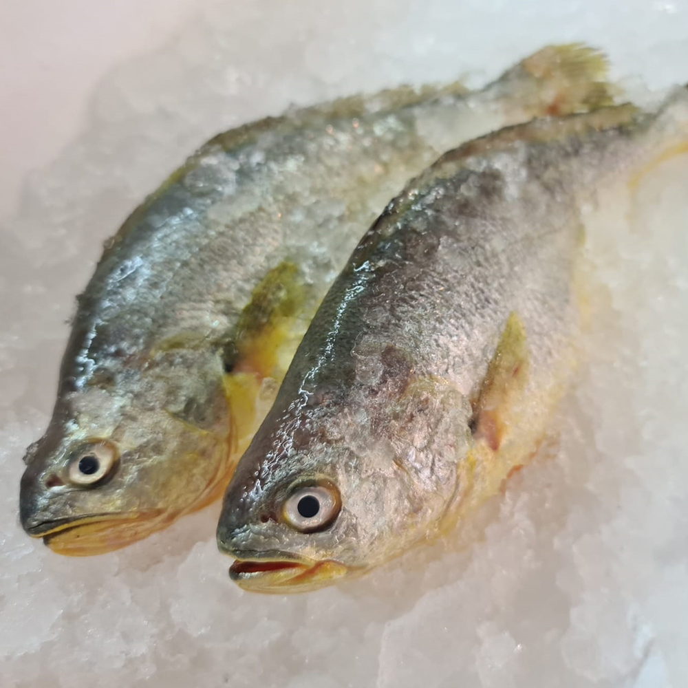 Seafood