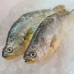 Seafood