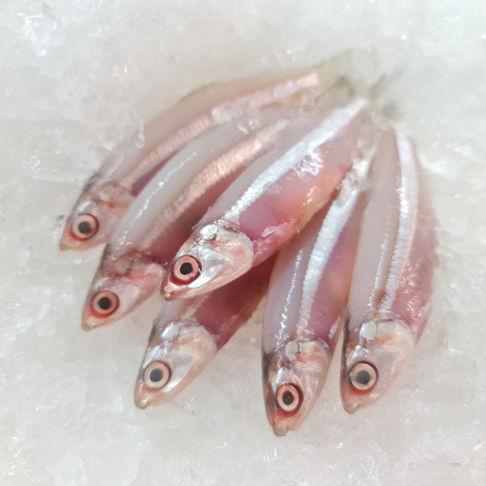 Fresh Seafood