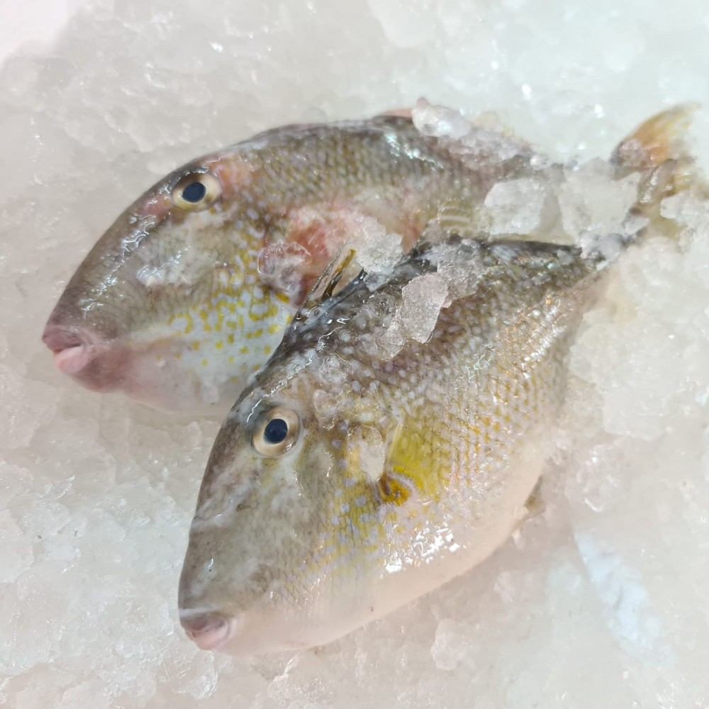 Seafood
