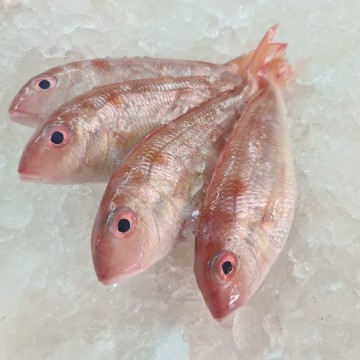 RARE DEALS! Baby Seabream 红哥里仔 (Quantity & Weight Vary)