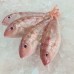 Whole Fish