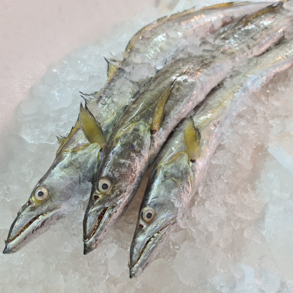 Seafood