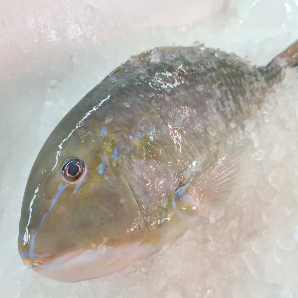 Seafood