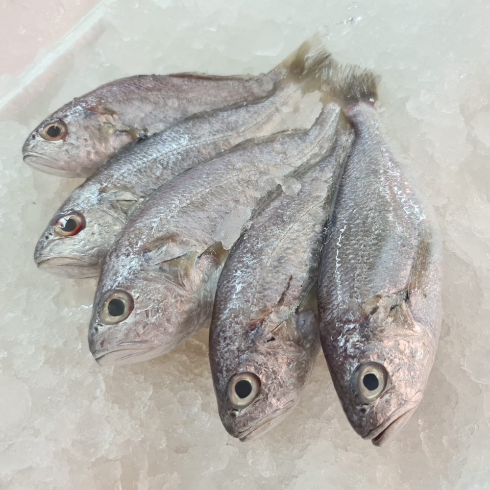 Seafood
