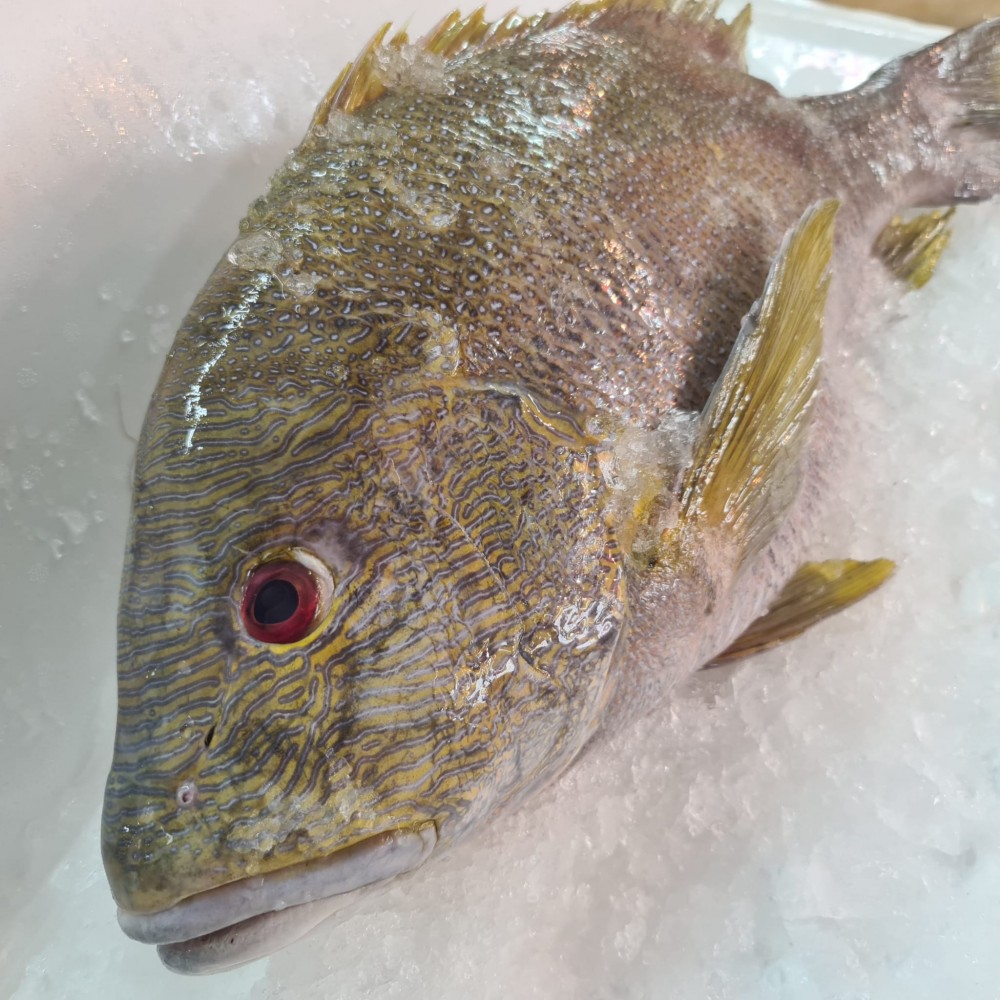 Seafood
