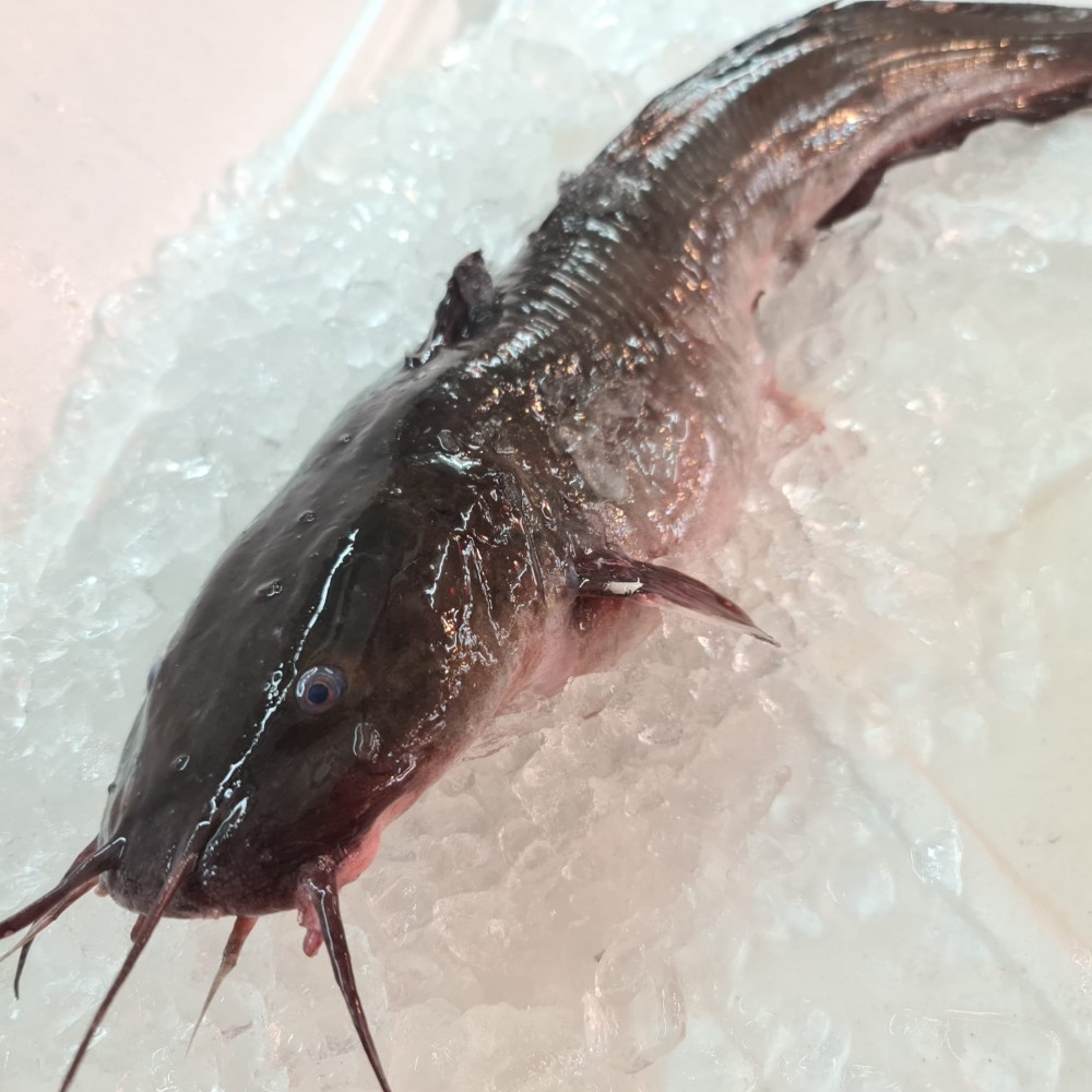 Seafood