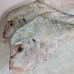 Seafood
