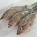 Seafood