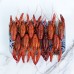 Shellfish