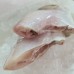 Seafood
