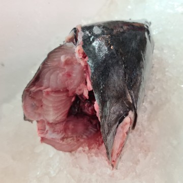 RARE DEALS! Big Batang Head 大巴当鱼头 (refer to description)
