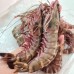 Seafood