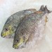 Seafood