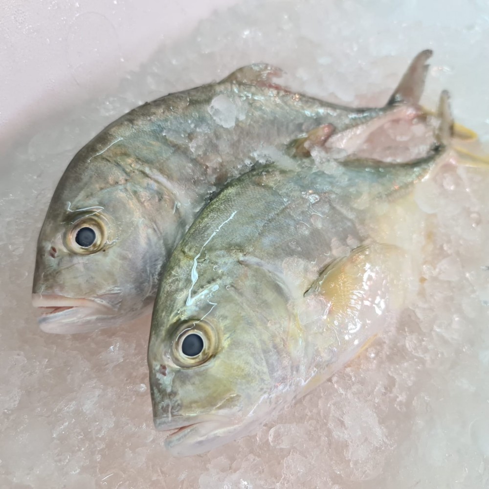Seafood