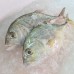 Seafood