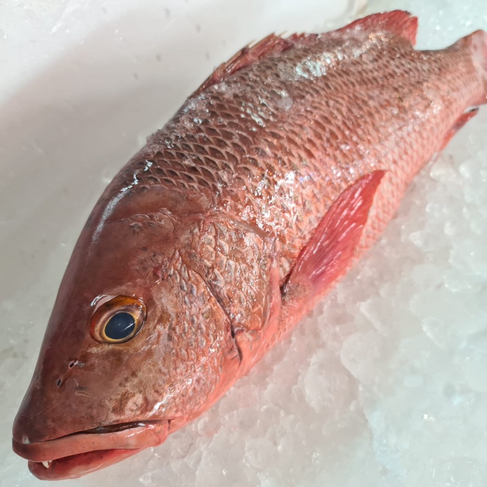 Seafood