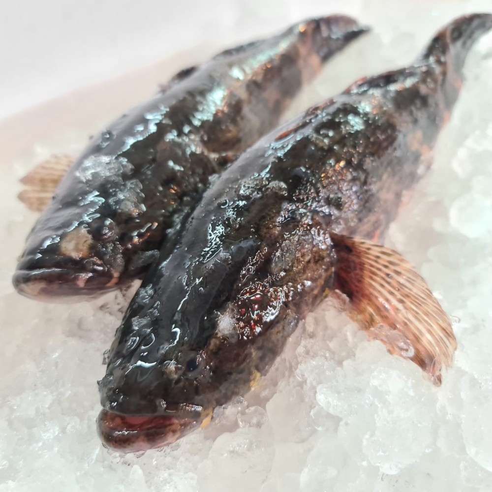Seafood
