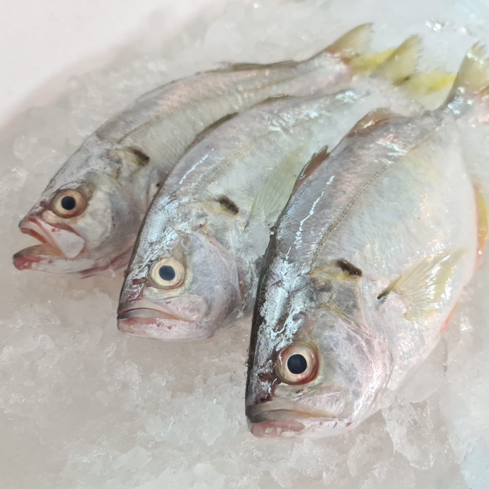 Seafood