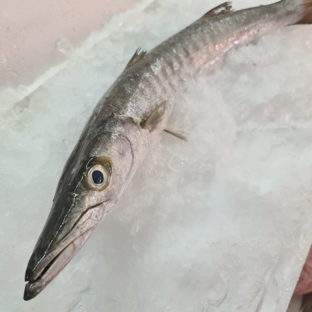 Seafood