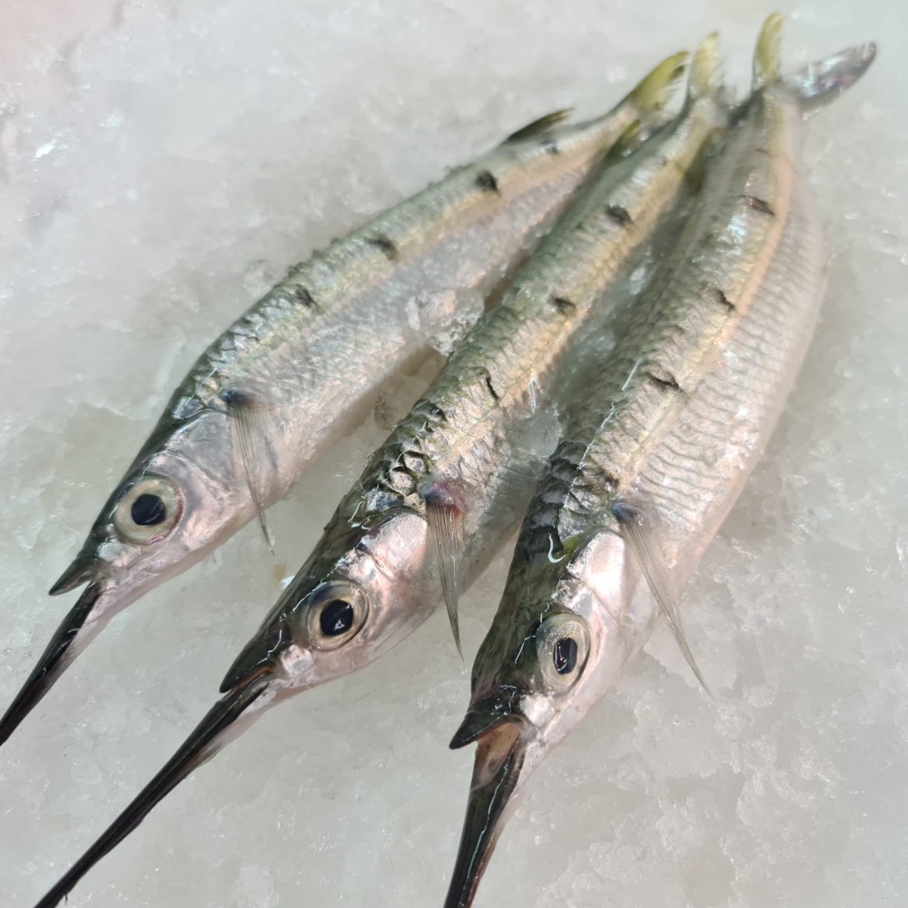 Whole Fish