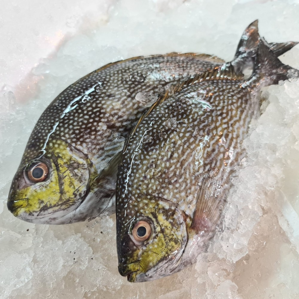 Seafood