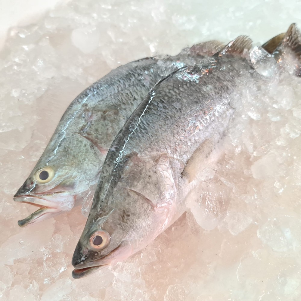 Seafood