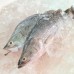 Seafood