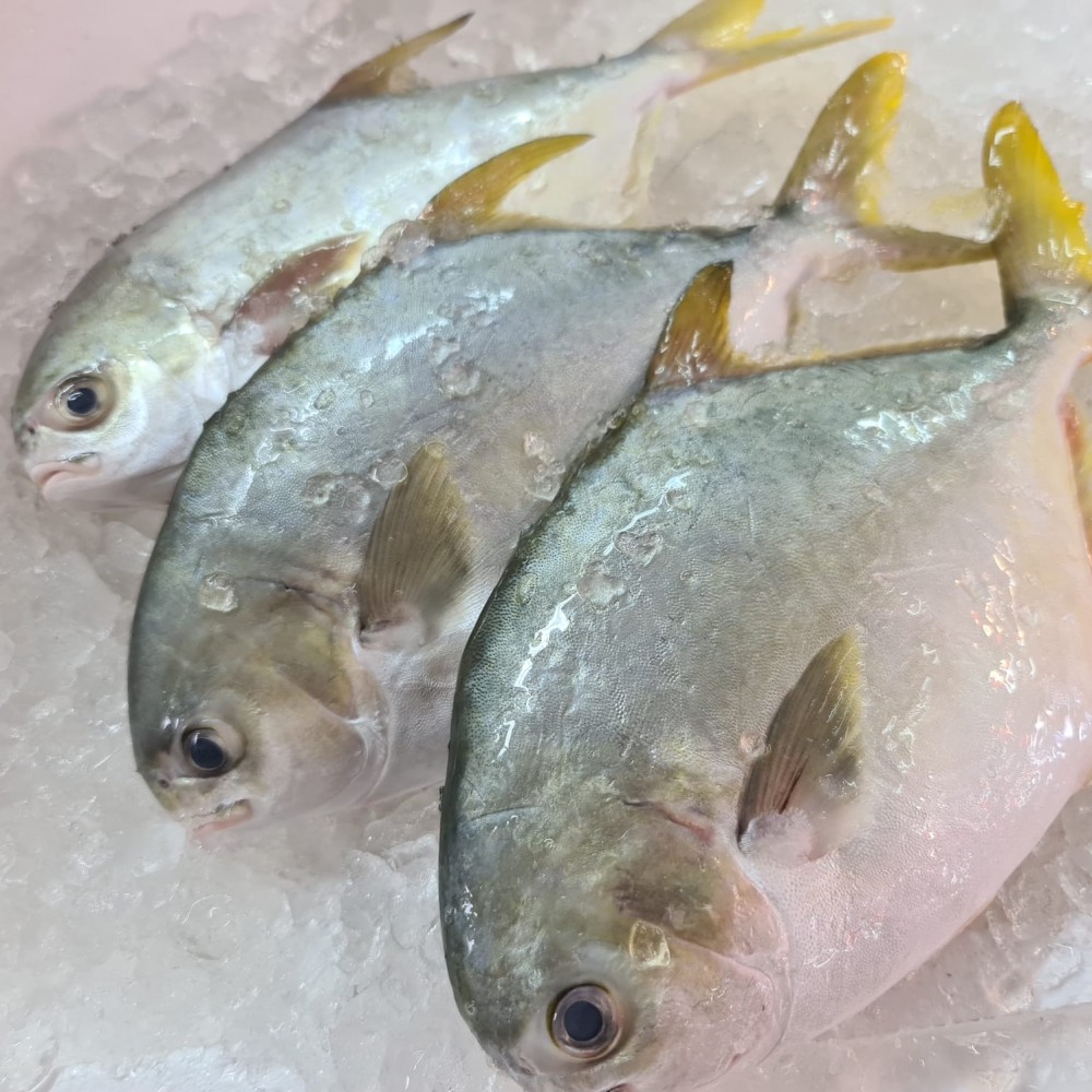 Seafood
