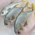 Seafood