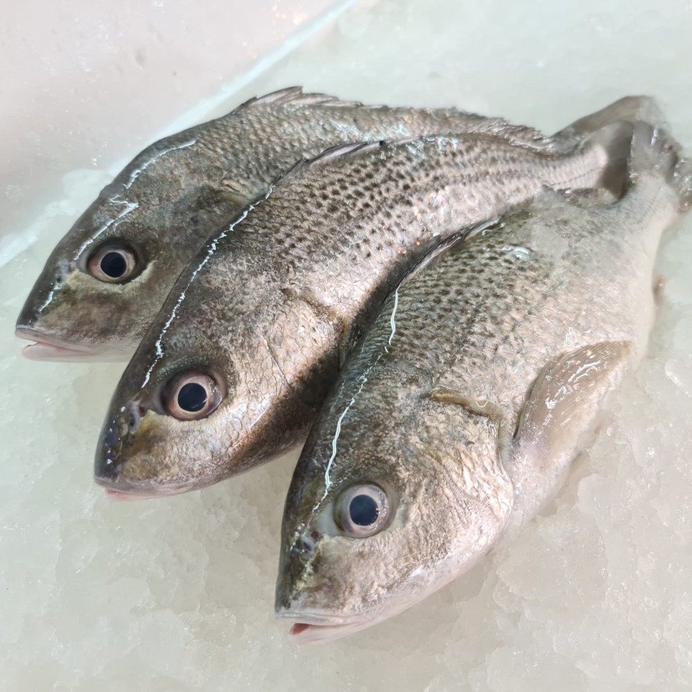 Seafood