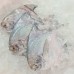 Seafood