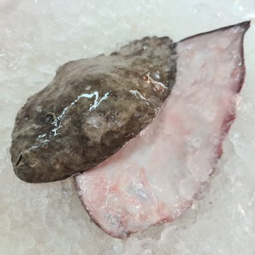 RARE DEALS! Sole Fish 龍脷鱼 (Refer To Description)