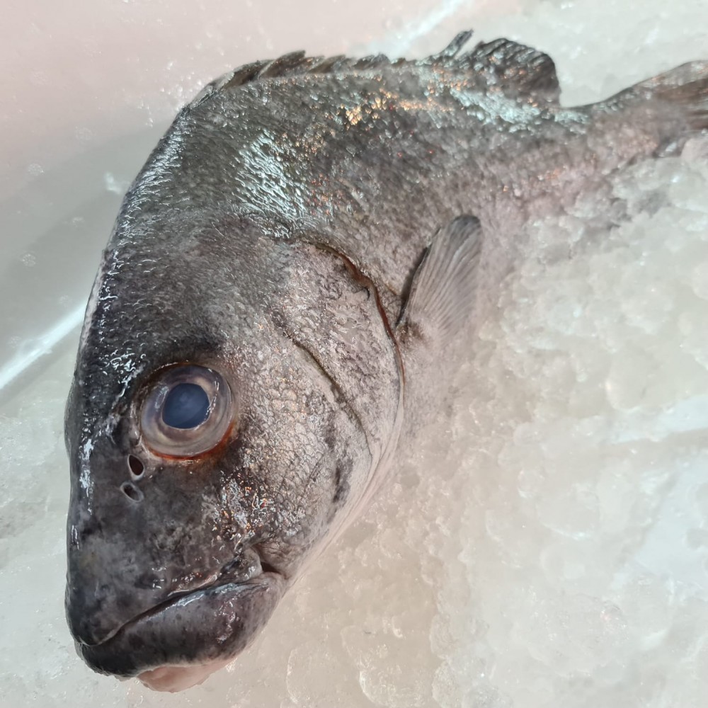Seafood