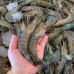 Seafood