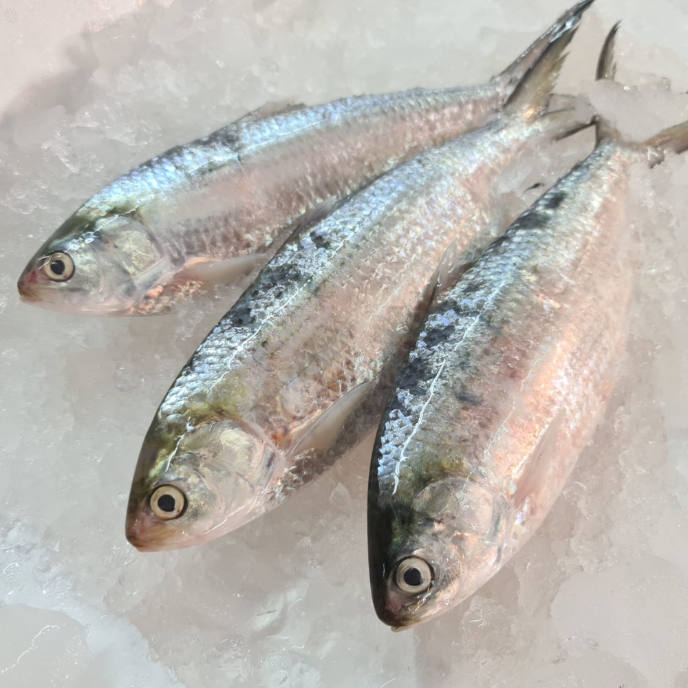 Seafood