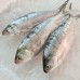Seafood