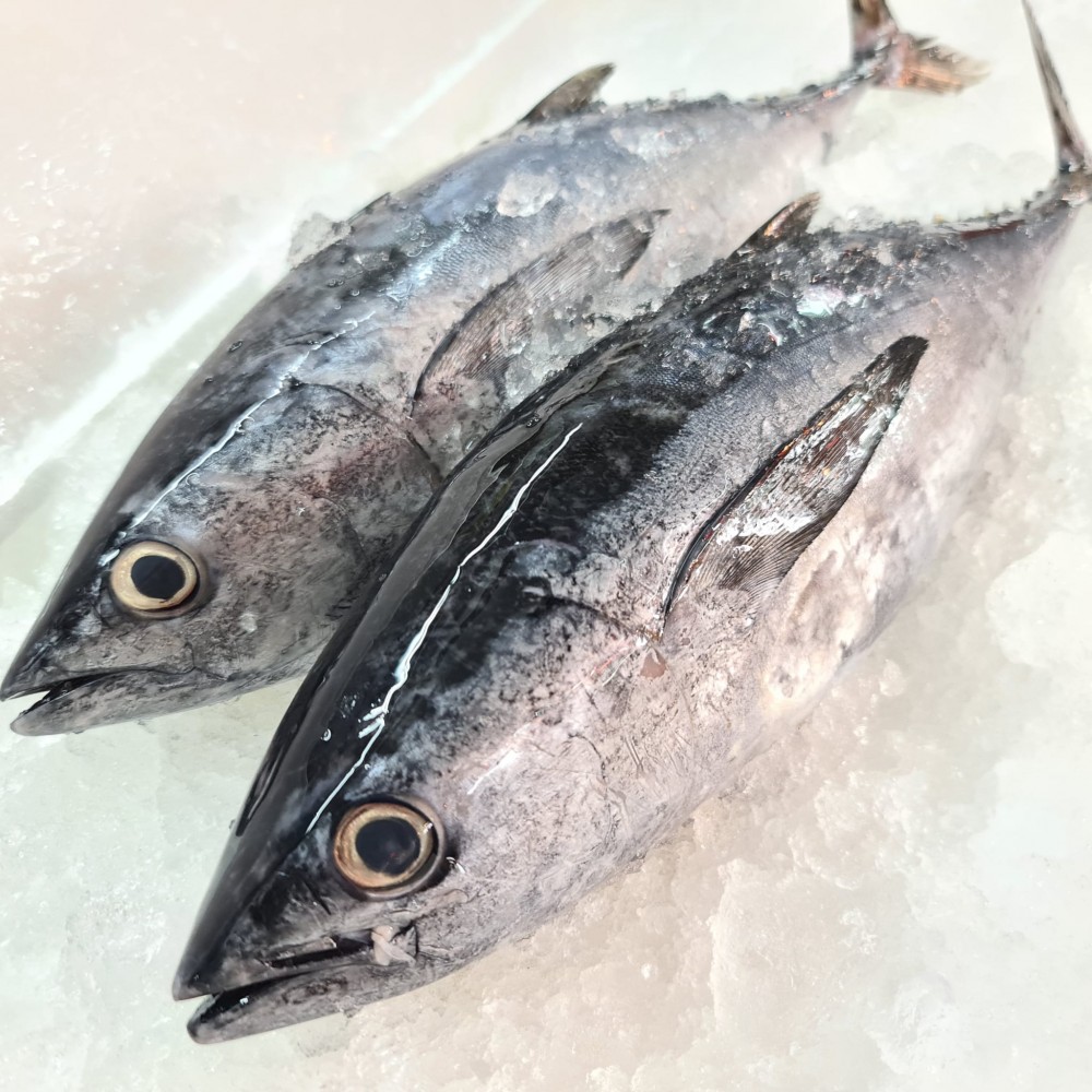 Seafood